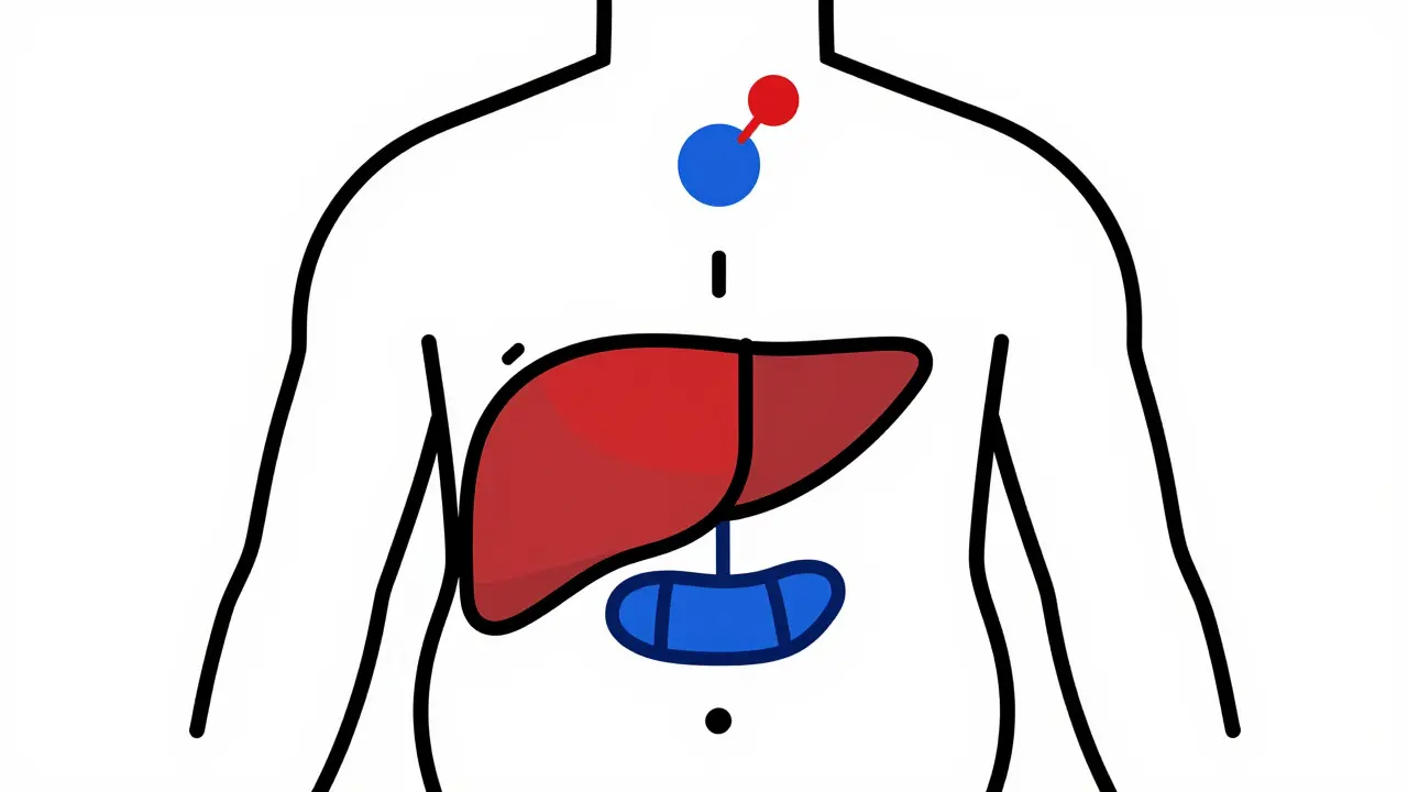 Remission in Type 2 Diabetes: How Weight Loss Can Lead to Medication De-escalation