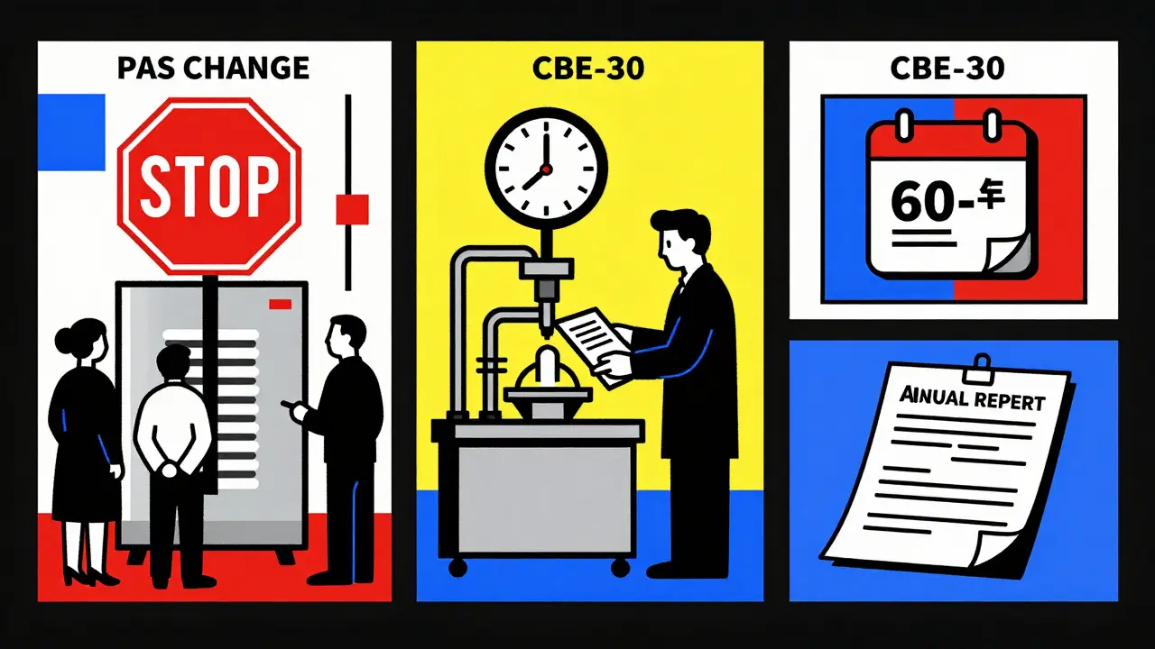 Manufacturing Changes: Notification and Approval Requirements for Pharmaceutical Products